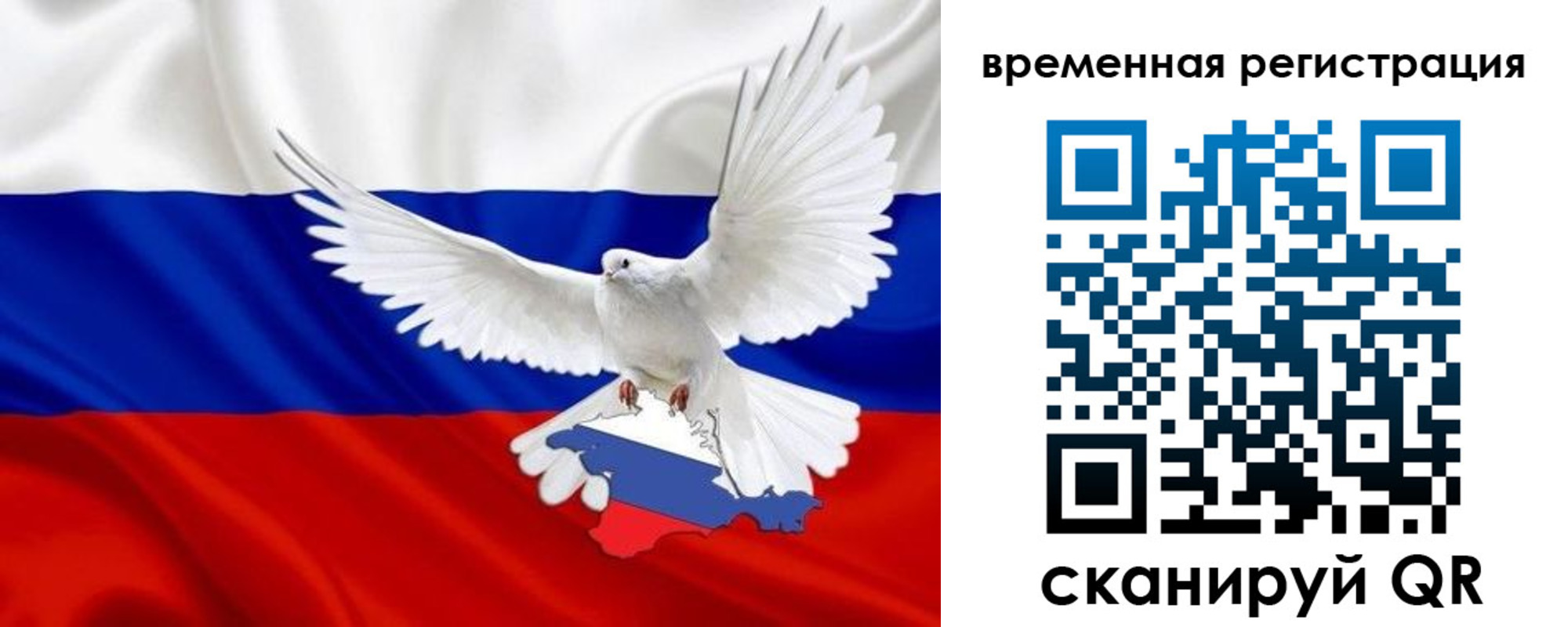 прописка законно в Вязьме