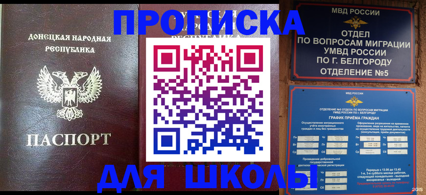 прописка для работы в Вязьме